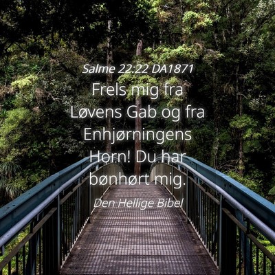 Picture 04 - Salme 22:22 DA1871 - Frels mig fra Løvens Gab og fra Enhjørningens - Bible Verse Picture