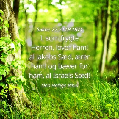 Picture 04 - Salme 22:24 DA1871 - I, som frygte Herren, lover ham! al Jakobs Sæd, - Bible Verse Picture