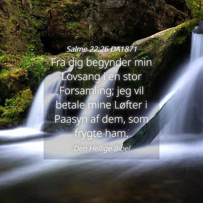 Picture 04 - Salme 22:26 DA1871 - Fra dig begynder min Lovsang i en stor - Bible Verse Picture