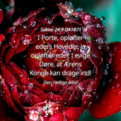 Picture 04 - Salme 24:9 DA1871 - I Porte, opløfter eders Hoveder, ja opløfter - Bible Verse Picture