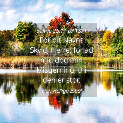 Picture 04 - Salme 25:11 DA1871 - For dit Navns Skyld, Herre, forlad mig dog min - Bible Verse Picture