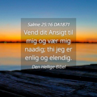 Picture 04 - Salme 25:16 DA1871 - Vend dit Ansigt til mig og vær mig naadig; thi - Bible Verse Picture