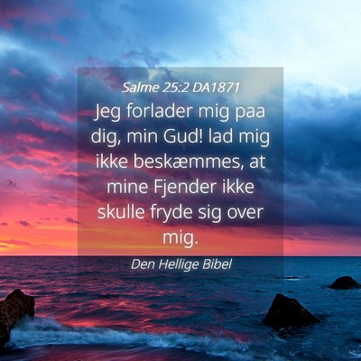 Picture 04 - Salme 25:2 DA1871 - Jeg forlader mig paa dig, min Gud! lad mig ikke - Bible Verse Picture