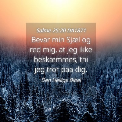 Picture 04 - Salme 25:20 DA1871 - Bevar min Sjæl og red mig, at jeg ikke - Bible Verse Picture