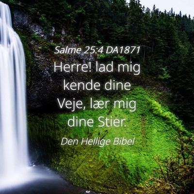Picture 04 - Salme 25:4 DA1871 - Herre! lad mig kende dine Veje, lær mig dine - Bible Verse Picture