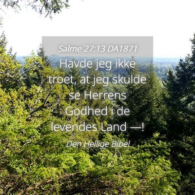 Picture 04 - Salme 27:13 DA1871 - Havde jeg ikke troet, at jeg skulde se Herrens - Bible Verse Picture