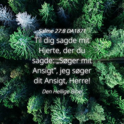 Picture 04 - Salme 27:8 DA1871 - Til dig sagde mit Hjerte, der du sagde: „Søger - Bible Verse Picture