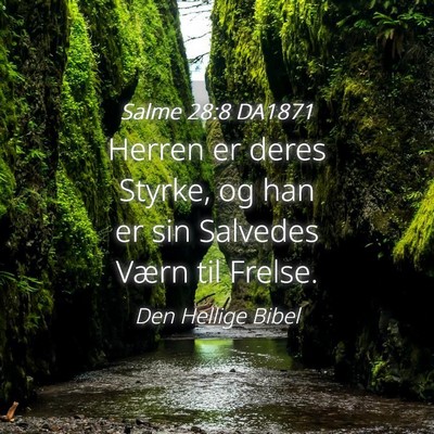 Picture 04 - Salme 28:8 DA1871 - Herren er deres Styrke, og han er sin Salvedes - Bible Verse Picture