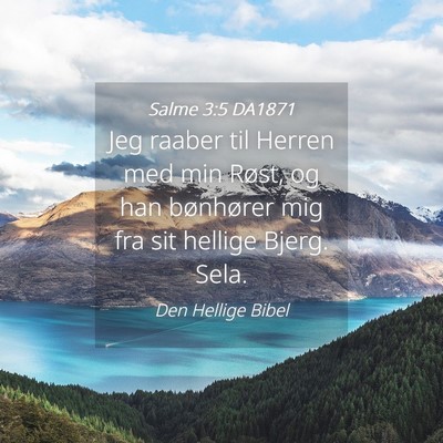 Picture 04 - Salme 3:5 DA1871 - Jeg raaber til Herren med min Røst, og han - Bible Verse Picture
