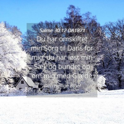 Picture 04 - Salme 30:12 DA1871 - Du har omskiftet min Sorg til Dans for mig; du - Bible Verse Picture