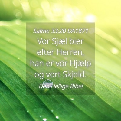 Picture 04 - Salme 33:20 DA1871 - Vor Sjæl bier efter Herren, han er vor Hjælp og - Bible Verse Picture
