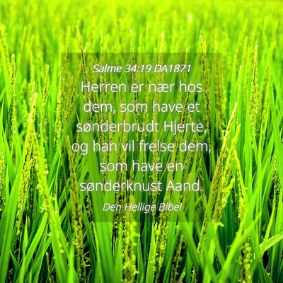 Picture 04 - Salme 34:19 DA1871 - Herren er nær hos dem, som have et sønderbrudt - Bible Verse Picture