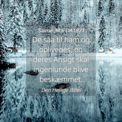 Picture 04 - Salme 34:6 DA1871 - De saa til ham og oplivedes, og deres Ansigt skal - Bible Verse Picture