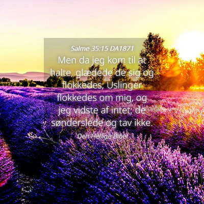 Picture 04 - Salme 35:15 DA1871 - Men da jeg kom til at halte, glædede de sig og - Bible Verse Picture