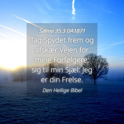 Picture 04 - Salme 35:3 DA1871 - Tag Spydet frem og afskær Vejen for mine - Bible Verse Picture