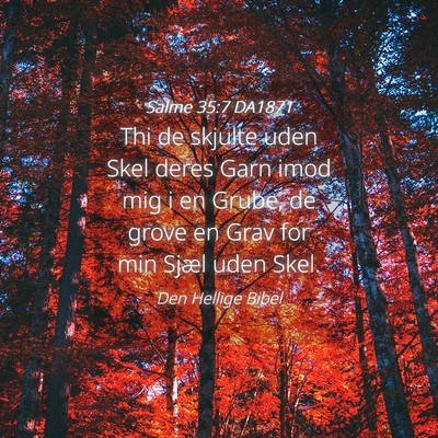 Picture 04 - Salme 35:7 DA1871 - Thi de skjulte uden Skel deres Garn imod mig i en - Bible Verse Picture