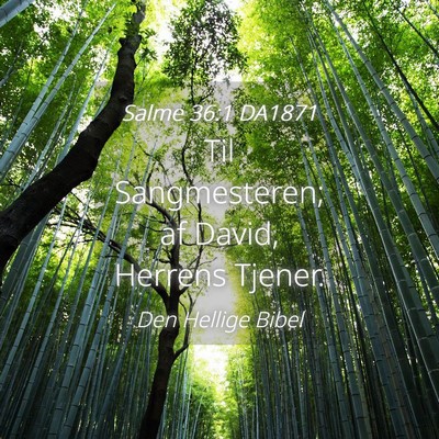 Picture 04 - Salme 36:1 DA1871 - Til Sangmesteren; af David, Herrens - Bible Verse Picture