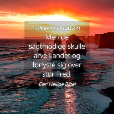 Picture 04 - Salme 37:11 DA1871 - Men de sagtmodige skulle arve Landet og forlyste - Bible Verse Picture