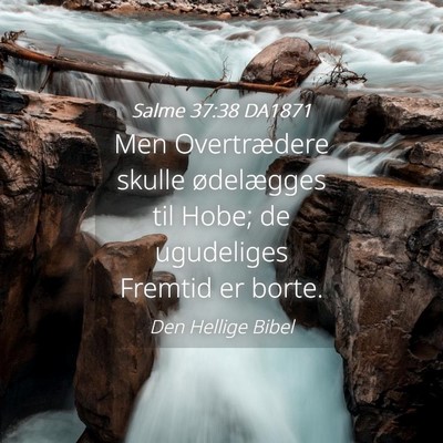 Picture 04 - Salme 37:38 DA1871 - Men Overtrædere skulle ødelægges til Hobe; de - Bible Verse Picture