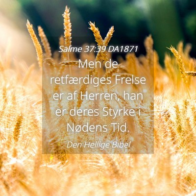 Picture 04 - Salme 37:39 DA1871 - Men de retfærdiges Frelse er af Herren, han er - Bible Verse Picture