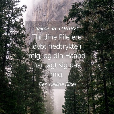 Picture 04 - Salme 38:3 DA1871 - Thi dine Pile ere dybt nedtrykte i mig, og din - Bible Verse Picture