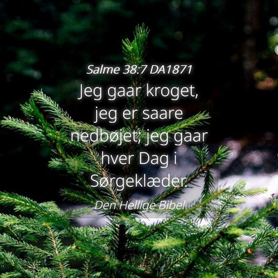 Picture 04 - Salme 38:7 DA1871 - Jeg gaar kroget, jeg er saare nedbøjet; jeg gaar - Bible Verse Picture