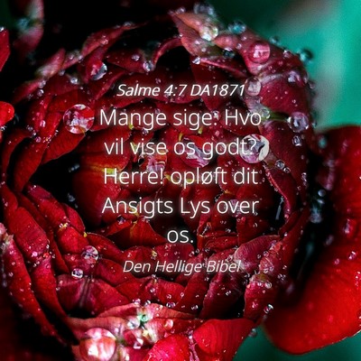 Picture 04 - Salme 4:7 DA1871 - Mange sige: Hvo vil vise os godt? Herre! opløft - Bible Verse Picture