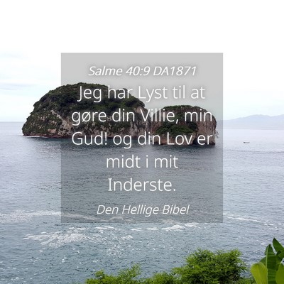 Picture 04 - Salme 40:9 DA1871 - Jeg har Lyst til at gøre din Villie, min Gud! og - Bible Verse Picture
