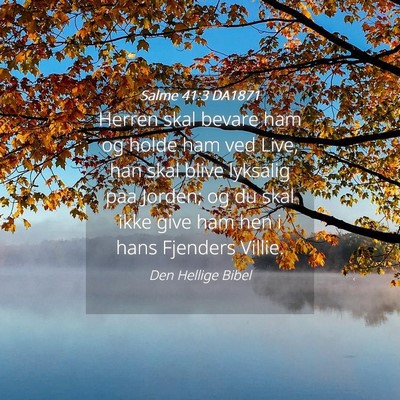 Picture 04 - Salme 41:3 DA1871 - Herren skal bevare ham og holde ham ved Live, han - Bible Verse Picture