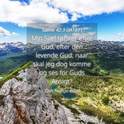 Picture 04 - Salme 42:3 DA1871 - Min Sjæl tørster efter Gud, efter den levende - Bible Verse Picture