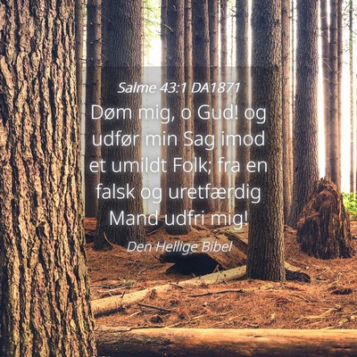Picture 04 - Salme 43:1 DA1871 - Døm mig, o Gud! og udfør min Sag imod et umildt - Bible Verse Picture