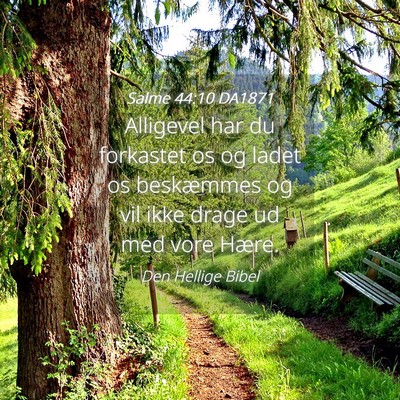 Picture 04 - Salme 44:10 DA1871 - Alligevel har du forkastet os og ladet os - Bible Verse Picture