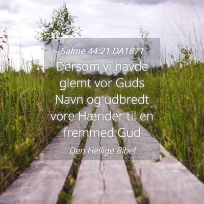 Picture 04 - Salme 44:21 DA1871 - Dersom vi havde glemt vor Guds Navn og udbredt - Bible Verse Picture