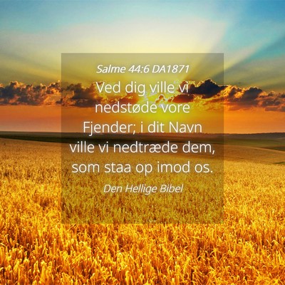 Picture 04 - Salme 44:6 DA1871 - Ved dig ville vi nedstøde vore Fjender; i dit - Bible Verse Picture