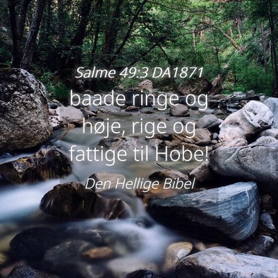 Picture 04 - Salme 49:3 DA1871 - baade ringe og høje, rige og fattige til - Bible Verse Picture