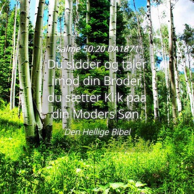 Picture 04 - Salme 50:20 DA1871 - Du sidder og taler imod din Broder, du sætter - Bible Verse Picture