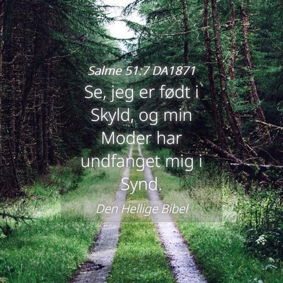 Picture 04 - Salme 51:7 DA1871 - Se, jeg er født i Skyld, og min Moder har - Bible Verse Picture