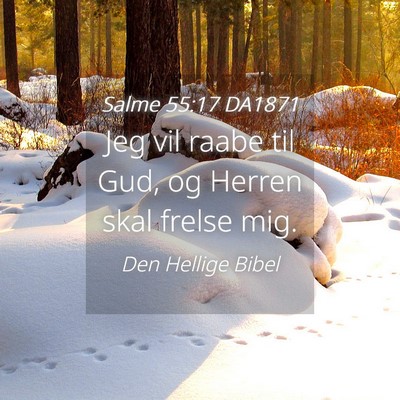 Picture 04 - Salme 55:17 DA1871 - Jeg vil raabe til Gud, og Herren skal frelse - Bible Verse Picture