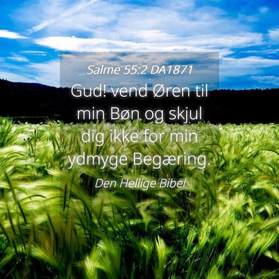 Picture 04 - Salme 55:2 DA1871 - Gud! vend Øren til min Bøn og skjul dig ikke - Bible Verse Picture