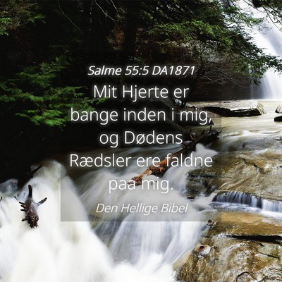 Picture 04 - Salme 55:5 DA1871 - Mit Hjerte er bange inden i mig, og Dødens - Bible Verse Picture