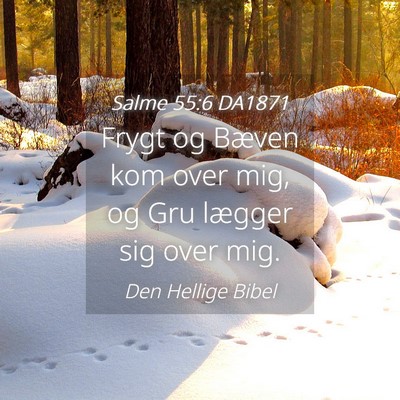 Picture 04 - Salme 55:6 DA1871 - Frygt og Bæven kom over mig, og Gru lægger sig - Bible Verse Picture