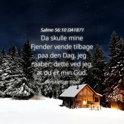 Picture 04 - Salme 56:10 DA1871 - Da skulle mine Fjender vende tilbage paa den Dag, - Bible Verse Picture