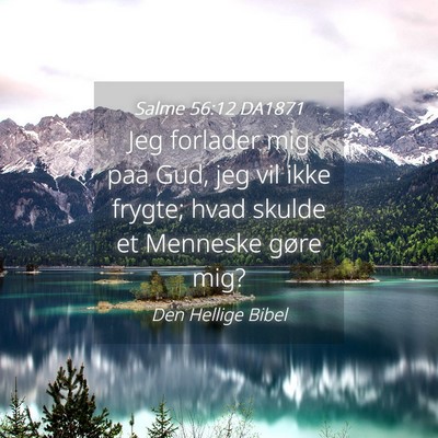 Picture 04 - Salme 56:12 DA1871 - Jeg forlader mig paa Gud, jeg vil ikke frygte; - Bible Verse Picture