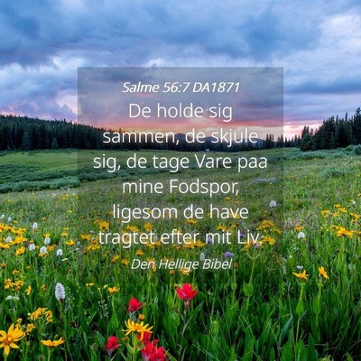 Picture 04 - Salme 56:7 DA1871 - De holde sig sammen, de skjule sig, de tage Vare - Bible Verse Picture