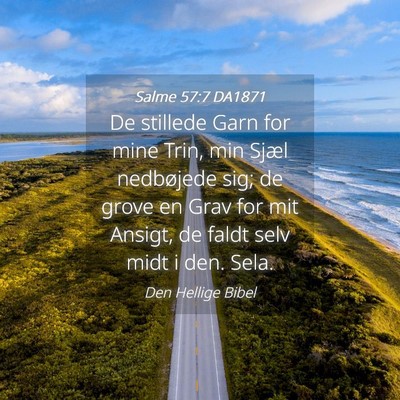 Picture 04 - Salme 57:7 DA1871 - De stillede Garn for mine Trin, min Sjæl - Bible Verse Picture