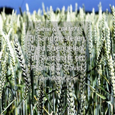 Picture 04 - Salme 6:1 DA1871 - Til Sangmesteren; med Strengeleg; til Skeminith; - Bible Verse Picture