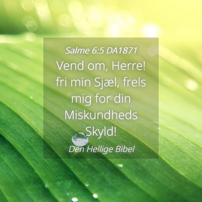 Picture 04 - Salme 6:5 DA1871 - Vend om, Herre! fri min Sjæl, frels mig for din - Bible Verse Picture