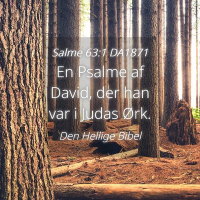 Picture 04 - Salme 63:1 DA1871 - En Psalme af David, der han var i Judas - Bible Verse Picture