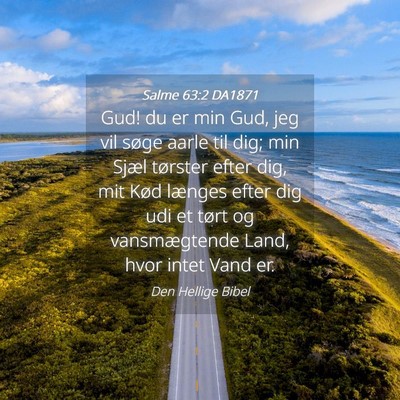 Picture 04 - Salme 63:2 DA1871 - Gud! du er min Gud, jeg vil søge aarle til dig; - Bible Verse Picture