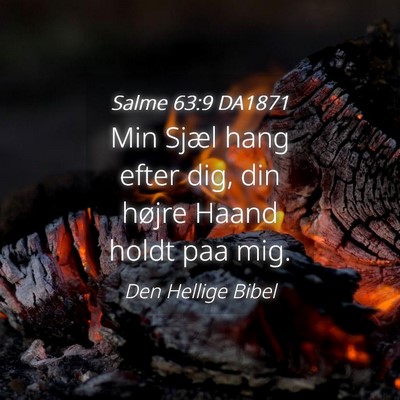 Picture 04 - Salme 63:9 DA1871 - Min Sjæl hang efter dig, din højre Haand holdt - Bible Verse Picture